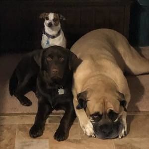 Meet your Posher, Stacy